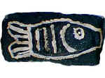 2ndbwhfish.jpg (24706 bytes)