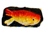 sunsetfish.jpg (19943 bytes)