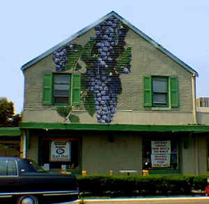 bobsgreatgrapehouse.jpg (46894 bytes)